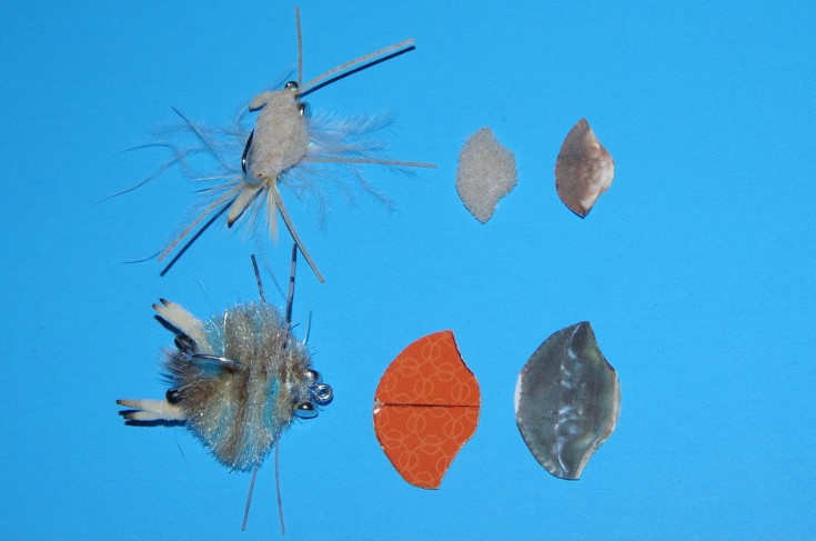 Crab fly.
