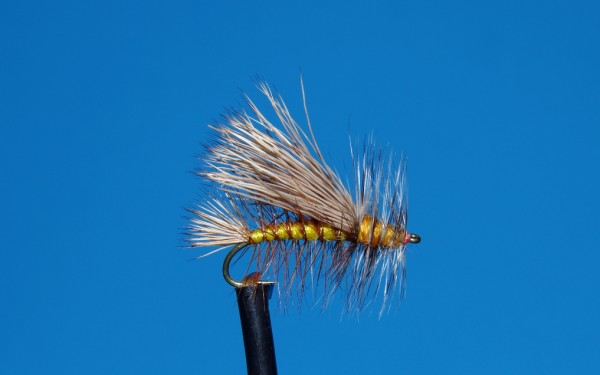 Dry fly fishing for trout with a stimulator dry fly.