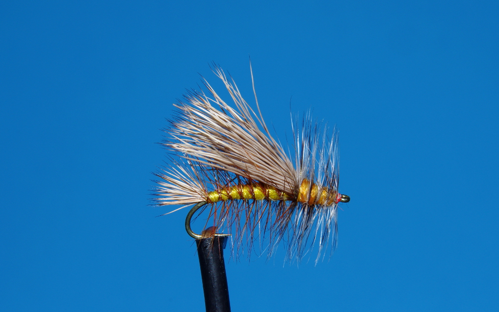 CONFIDENT DRY FLY FISHING FOR TROUT