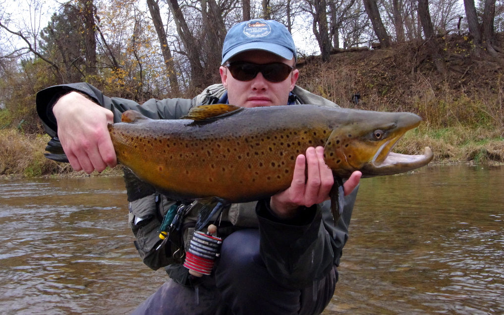 FLY FISHING NYMPHS IN CLEAR WATER [VIDEO] - ToFlyFish