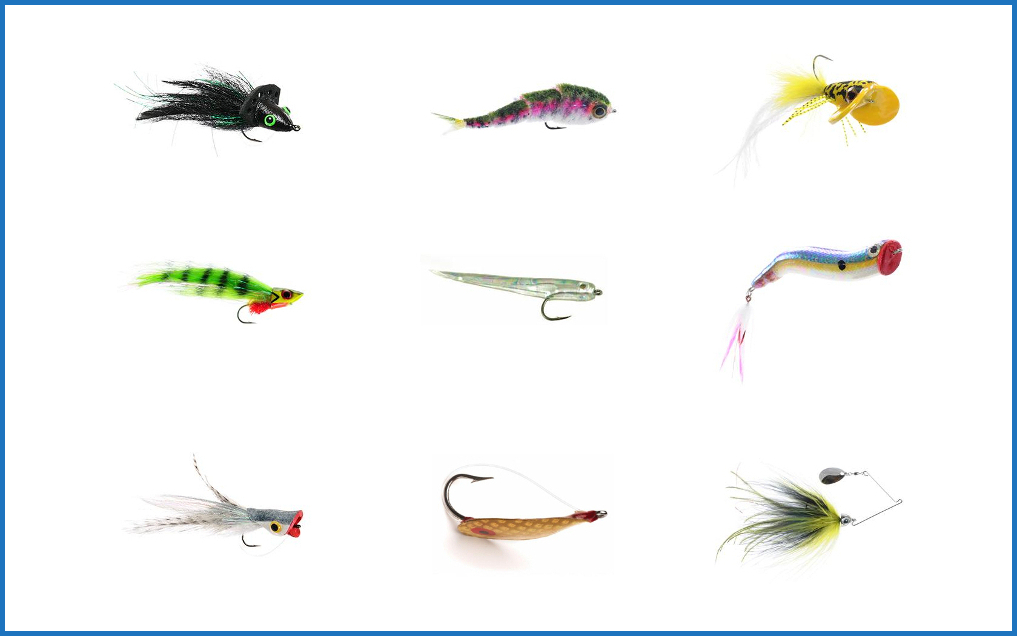 SMELLY JELLY, BUZZBAITS, AND DOWNRIGGERS! - ToFlyFish