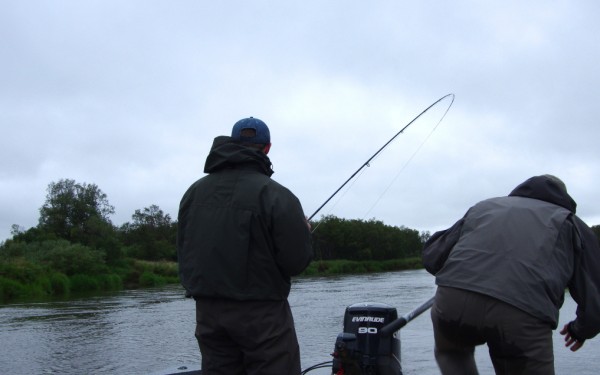 FLY FISHING LEADERS AND TIPPETS: PART 2