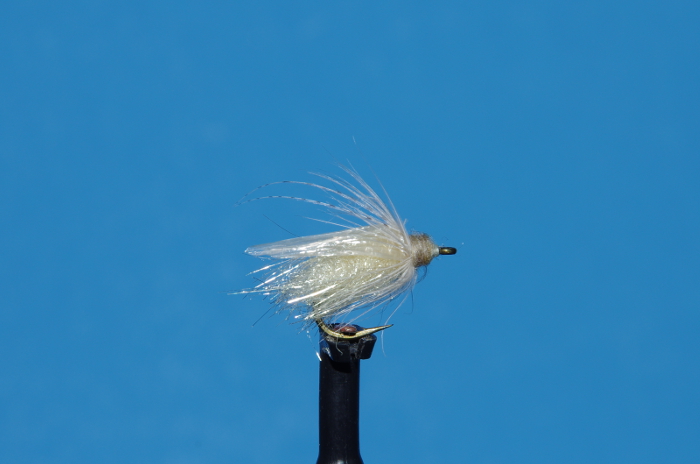 Fly fishing with nymphs caddis.