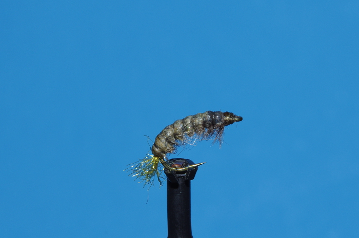 Fly fishing with nymphs hydropsyche.
