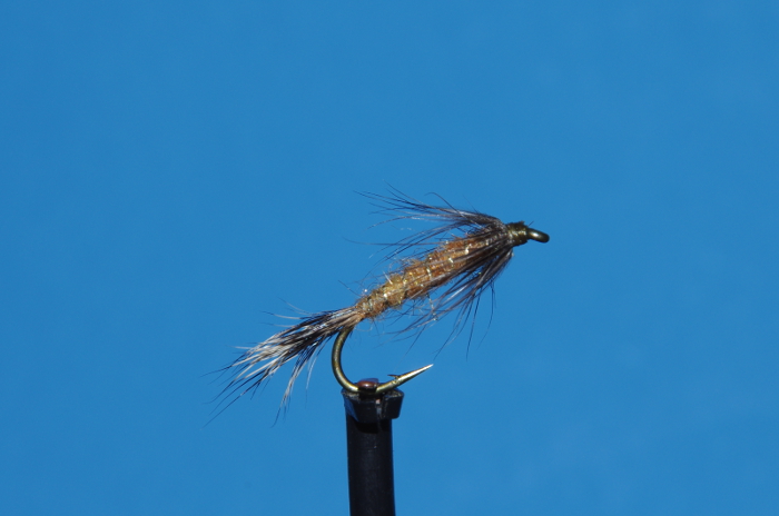 Fly fishing with nymphs red fox squirrel.