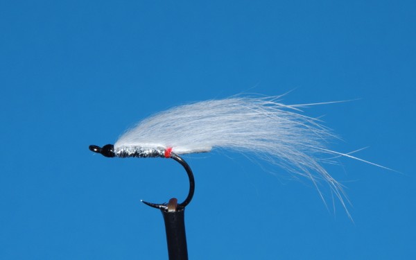 WHITE DEATH STEELHEAD AND BROWN TROUT FLY [VIDEO]