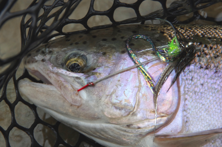 Bucktail Articulated Spine Streamer Fly Big Fish Musky Bass Trout