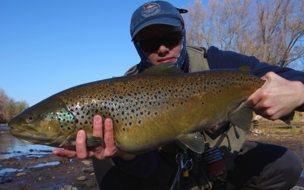 Covering water for steelhead and lake-run brown trout.