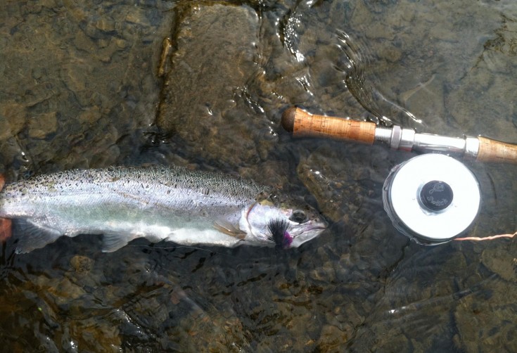 SWINGING GREAT LAKES STEELHEAD AND BEYOND | Toflyfish