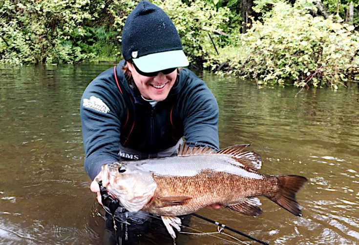 BIG SMALLMOUTH BASS FLY FISHING IN RIVERS Toflyfish