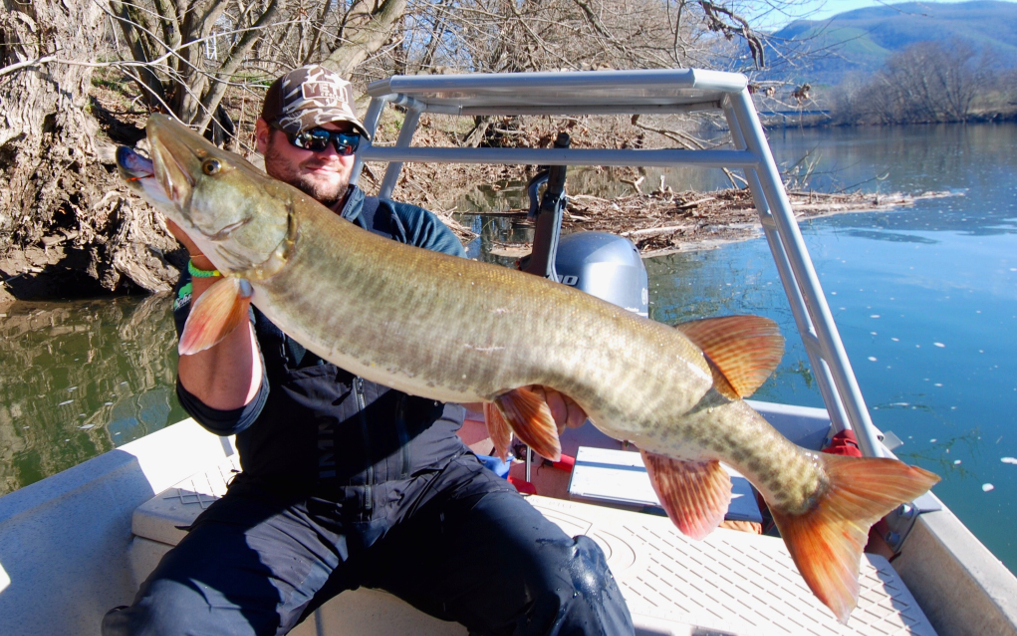 Musky on the fly.
