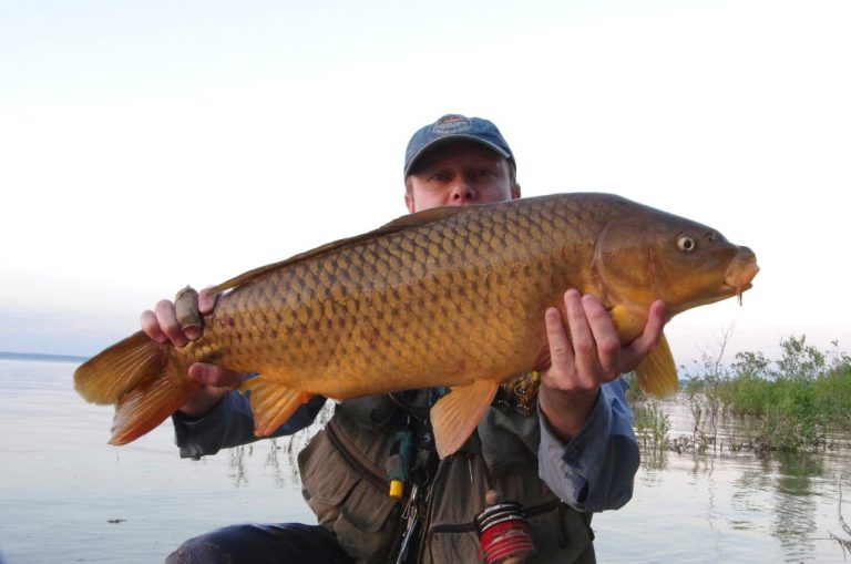 GREAT LAKES CARP FLY FISHING COMPLETE GUIDE Toflyfish