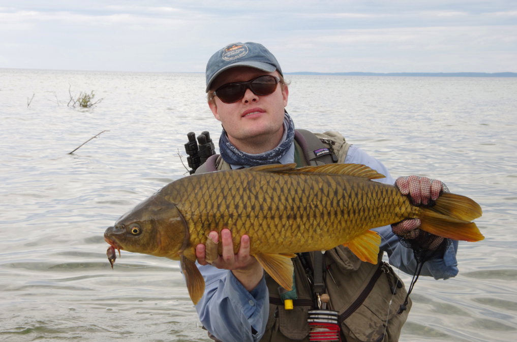 Lake Michigan Carp Fly Fishing.