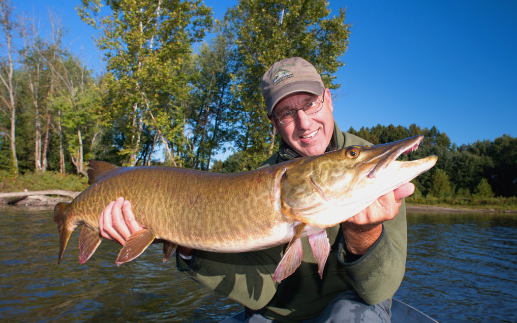 MUSKY FLY FISHING: THE HUNT with RICK KUSTICH