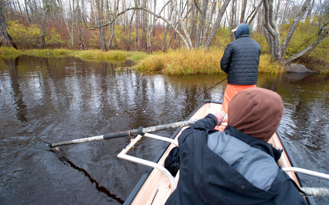 MUSKY FLY FISHING THE HUNT with RICK KUSTICH Toflyfish