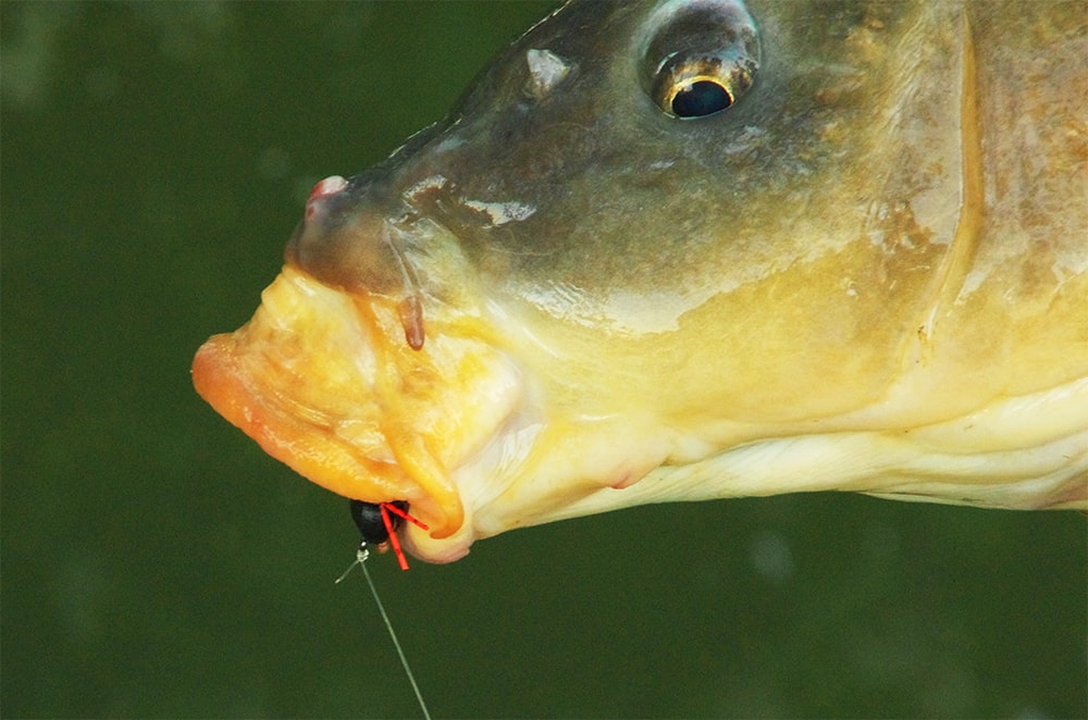 Preferred hook type for bonefish flies