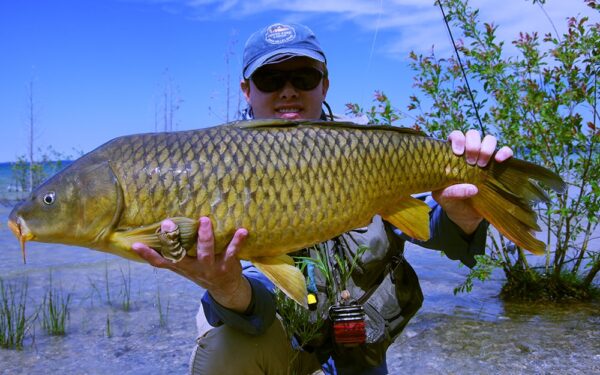 FLY FISHING FOR CARP: COMPLETE GUIDE