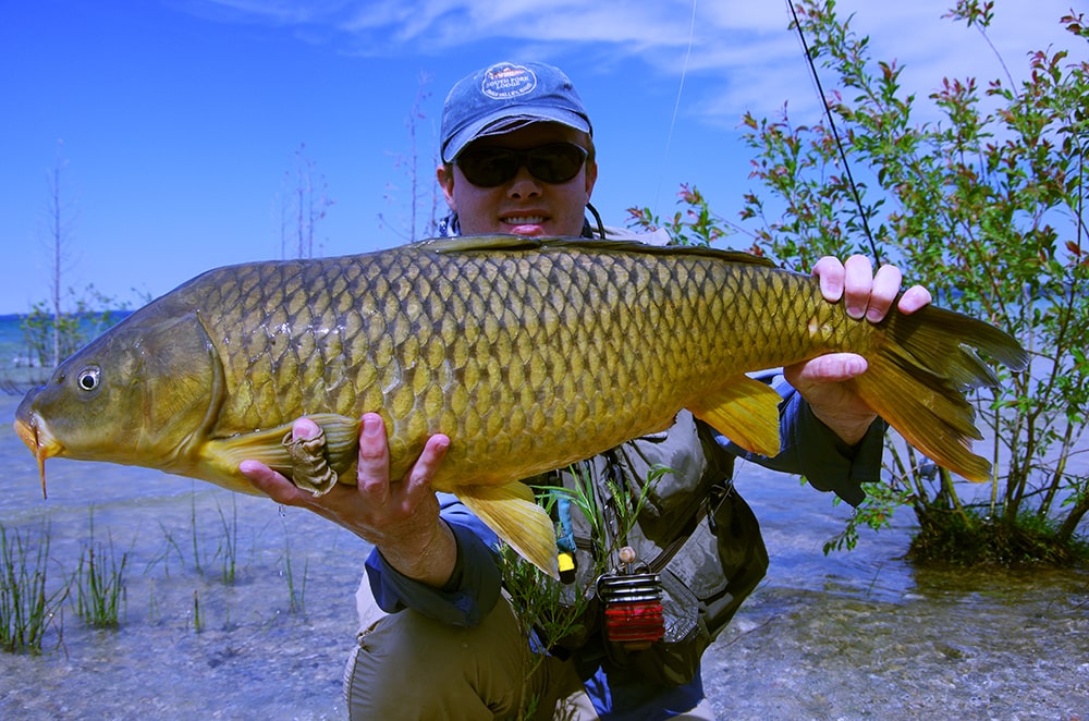 FLY FISHING FOR CARP: COMPLETE GUIDE