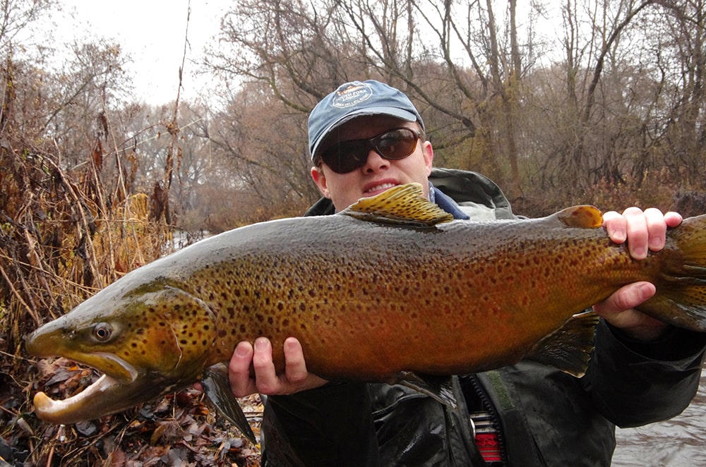 Great Lakes brown trout fly fishing