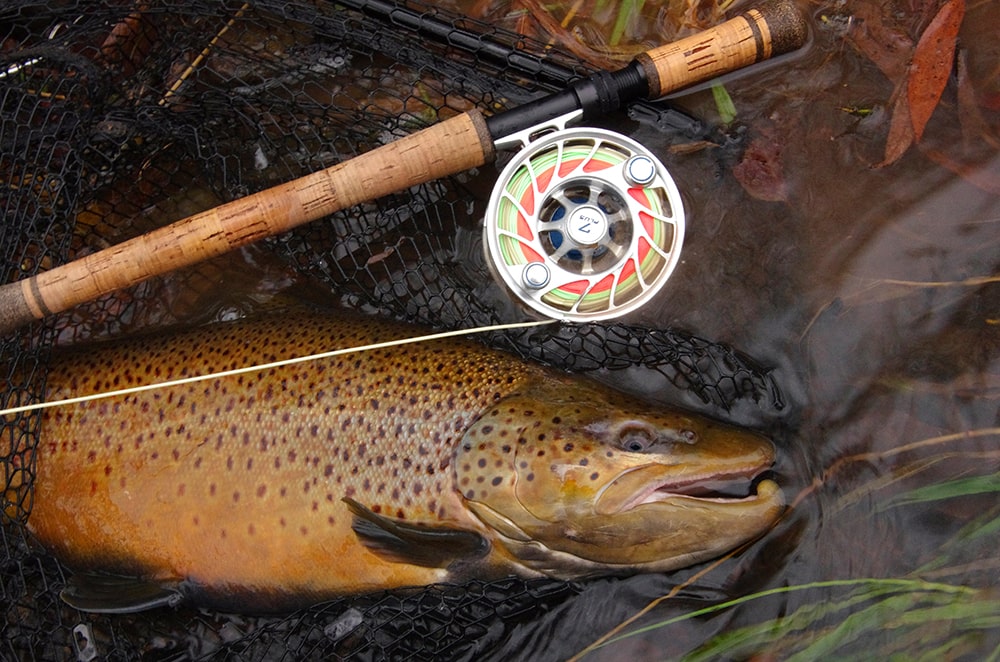 Great Lakes brown trout and steelhead reels