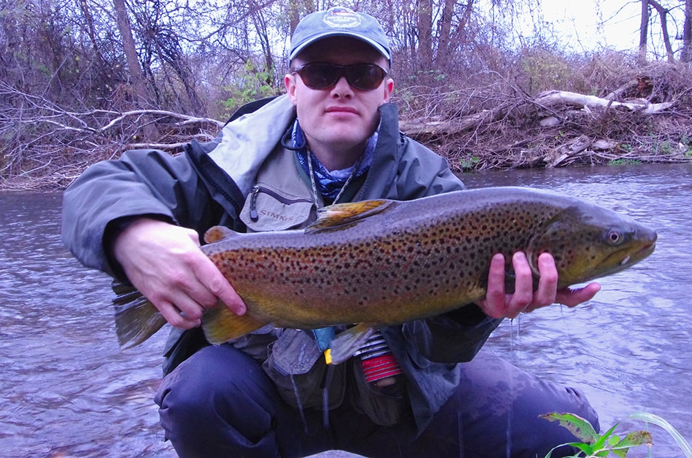 Great Lakes brown trout dropback