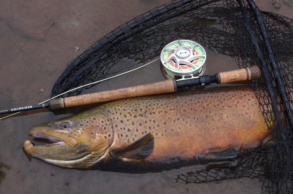 Great Lakes steelhead and brown trout fly rods