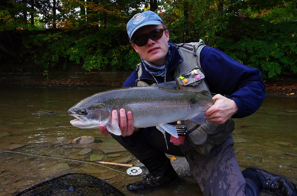 Great Lakes steelhead and brown trout migration stages