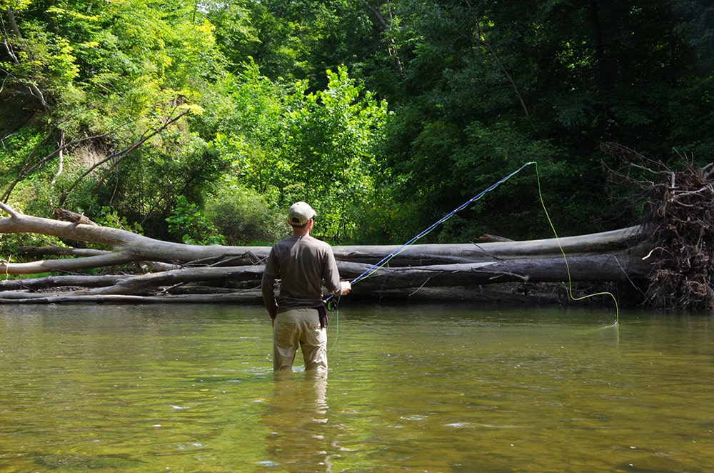 importance of fly fishing leaders and tippets