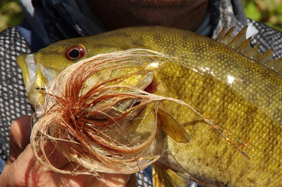 SMALLMOUTH BASS FLIES COMPLETE GUIDE ToFlyFish