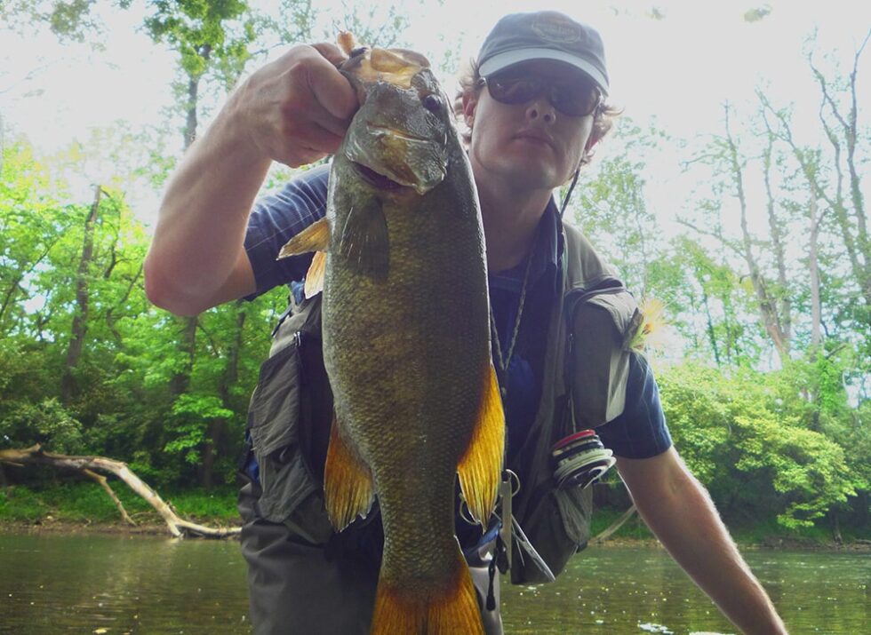 SMALLMOUTH BASS FLIES COMPLETE GUIDE ToFlyFish