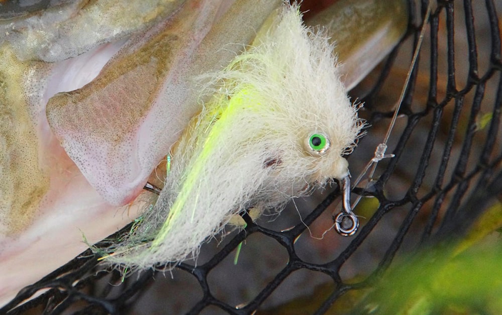 Master the Albright Knot for Fly Fishing Success
