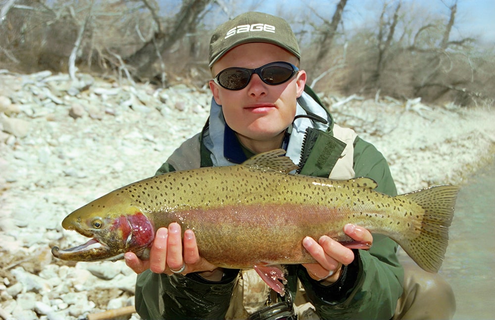 rainbow trout on nymphs