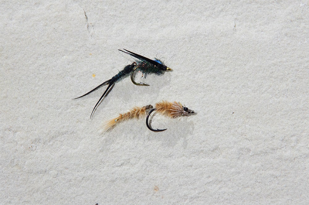 articulated nymphs