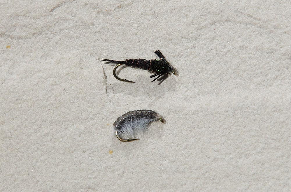 scuds and pt nymphs
