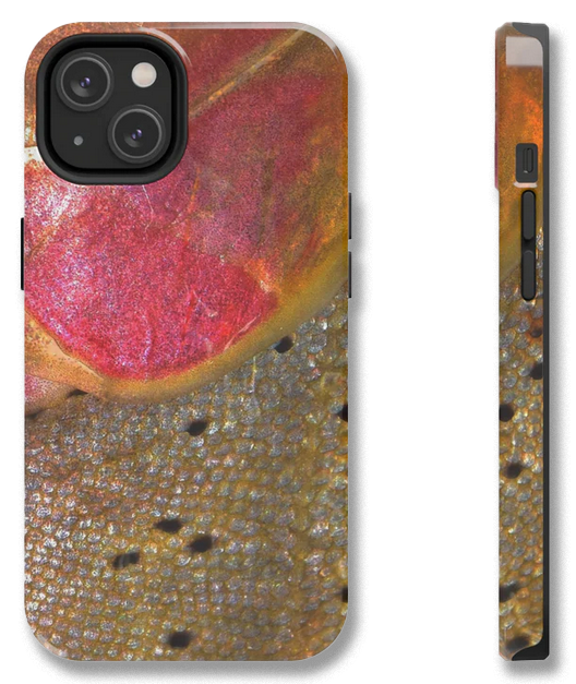 iPhone cover cutthroat trout